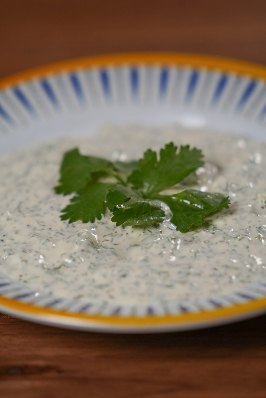 Yogurt and Cilantro